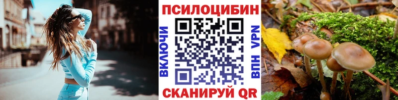 Галлюциногенные грибы Cubensis  Купить закладки  Ермолино 