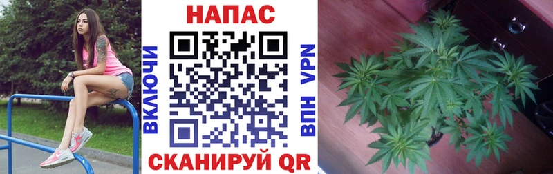 Купить  Ермолино  Бошки марихуана план 